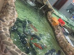 -小北江河鲜(新城店)