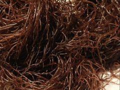 -华山路小碗驴肉汤(龙鳞路店)