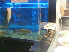 -衢农会·衢州菜·宴请(国际机场店)
