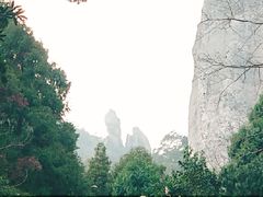 -雁荡山风景名胜区-小龙湫