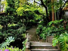 -南山植物园