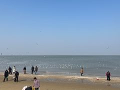 -宾朋海鲜饭庄(兴海路店)