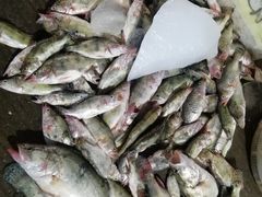 -马王堆海鲜水产市场