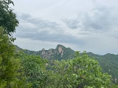 -大岭沟猕猴桃谷风景区