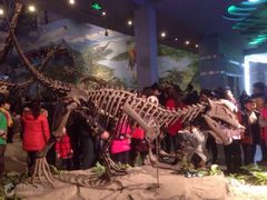 -自贡恐龙博物馆