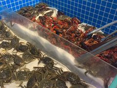 -乔哥铭洋海鲜自助(皇城恒隆广场店)