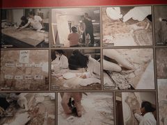 -洛阳古墓博物馆