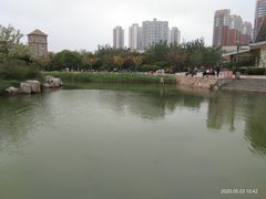 -绿岛公园(滨海新区)