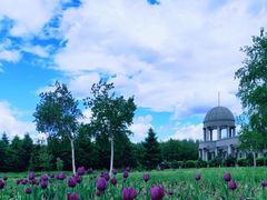 -长春公园(普阳街道)