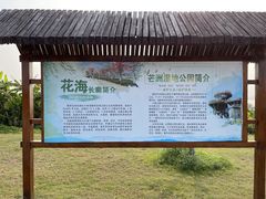 -芒洲湿地公园