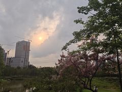 -广州市白云区图书馆