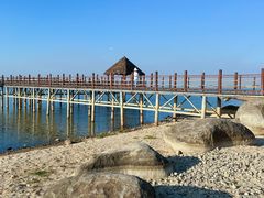 -瑶湖郊野森林公园
