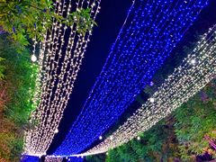 -天津意大利风情旅游区