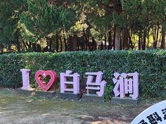 -白马涧龙池景区