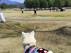 -钟山体育运动公园