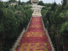 -蒙山大佛景区