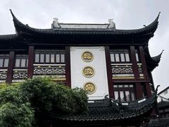 -绿波廊(豫园店)