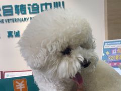 -美联众合动物医院·24h转诊中心