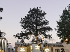 -云禾壹海景庄园餐厅