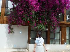 -三圣花乡旅游区