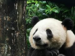 -秦云老太婆摊摊面(蜀汉路店)
