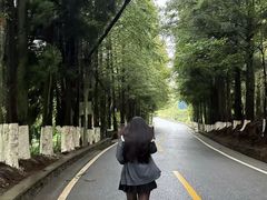 -南山植物园