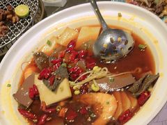 -海派悦庭·海胆烧麦·新融合菜(凯德广场店)