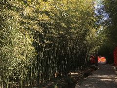 -竹泉村旅游度假区