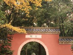 -灵谷景区