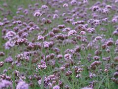 -杭州城北体育公园