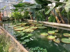 -国家植物园南园