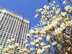 -上海花园饭店