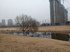 -西吴河科普公园