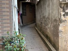 -长洲岛