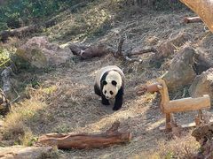 -宁波野生动物园