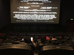 -AMG海上明珠影城(上海环球港RealDCinema店)