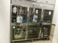 -爱妮康宠物医院·干细胞免疫细胞·肿瘤·心脏(张江店)