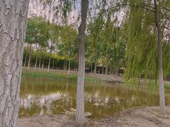 -西青郊野公园