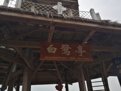 -北海金海湾红树林生态旅游区