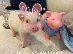 -大城·烧烤海鲜大排档(台东店)