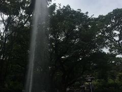 -九龙公园