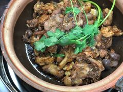 -华仔土鸡店(南洲分店)