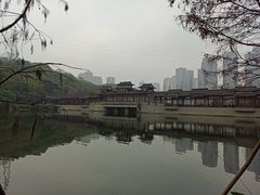 -重庆彩云湖湿地公园