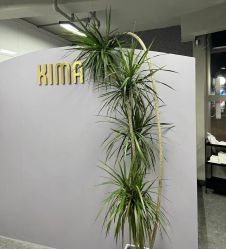 点击看大图 -XIMA·美发沙龙