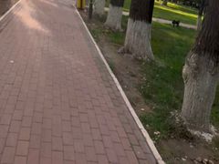 -黑龙江中医药大学