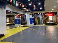 -成泰格斗(环球商业广场店)