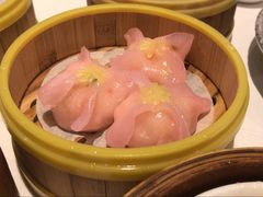 -同乐轩港式早茶