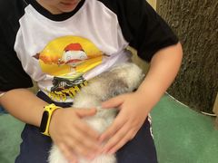 -藦茜花园宠物主题亲子互动体验馆(国顺东路店)