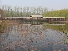 -微山湖红荷湿地景区