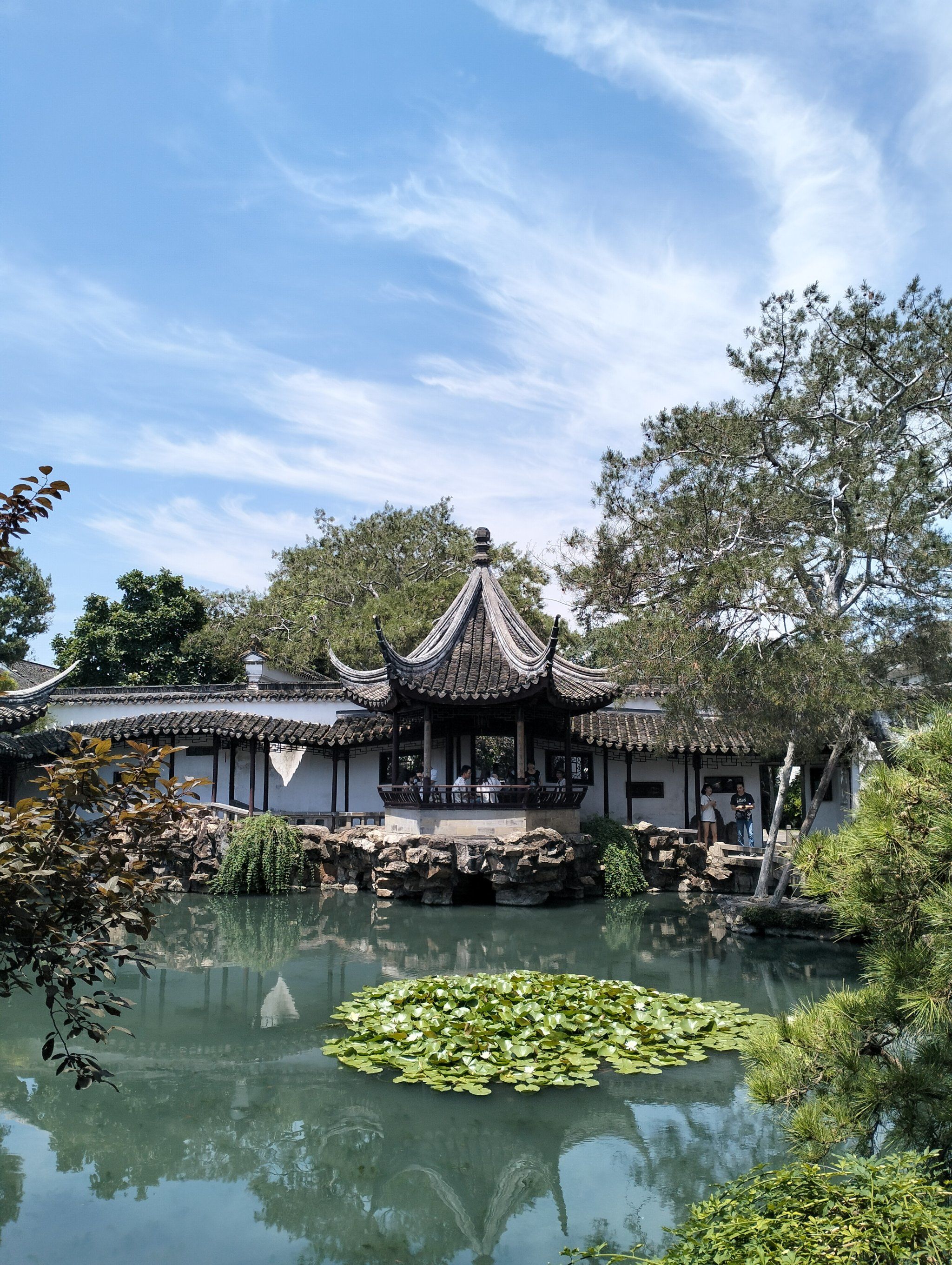 天再热,逛园林的心不变,美能治愈一切